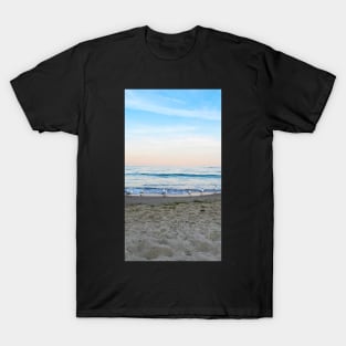 Seagulls sit on the beach T-Shirt